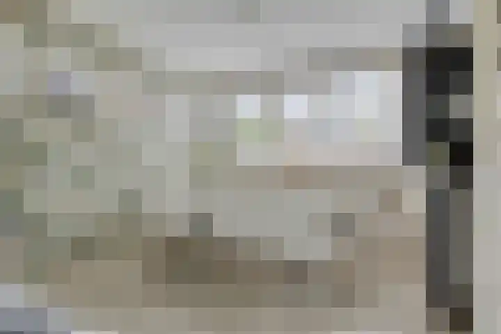 Dresselhuisstraat 8 Wolphaartsdijk thumbnail 11