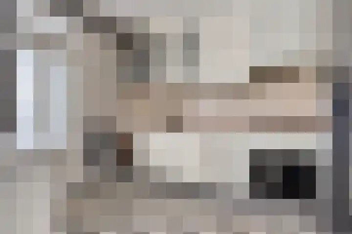 Dresselhuisstraat 8 Wolphaartsdijk thumbnail 12