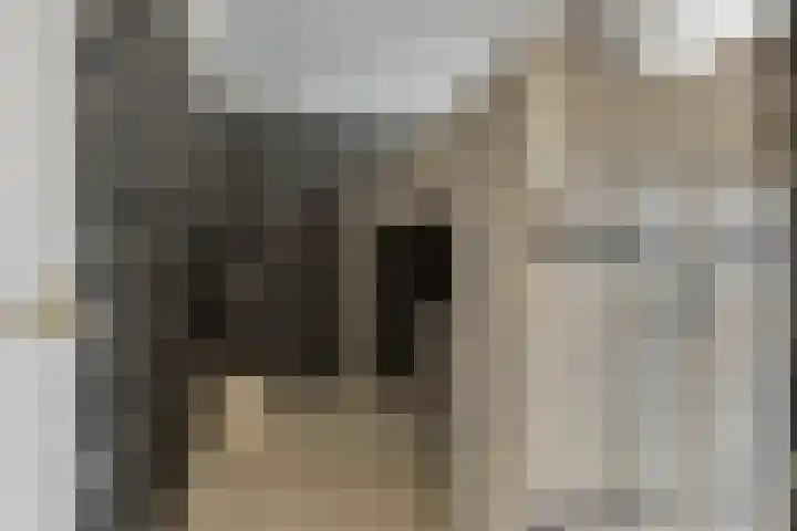 Dresselhuisstraat 8 Wolphaartsdijk thumbnail 20