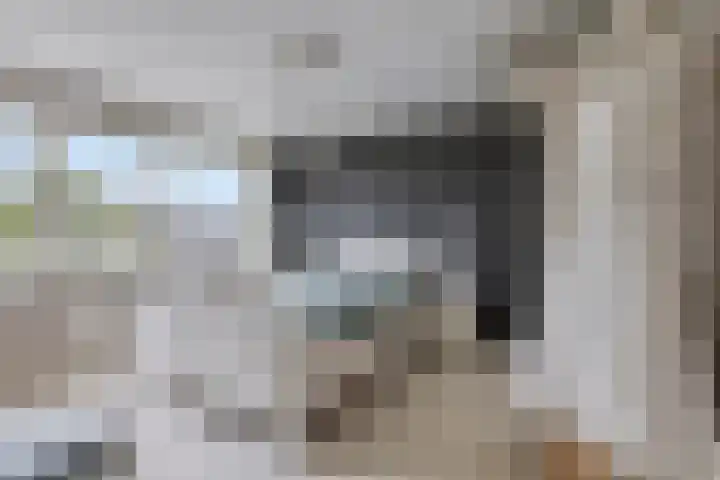 Dresselhuisstraat 8 Wolphaartsdijk thumbnail 22