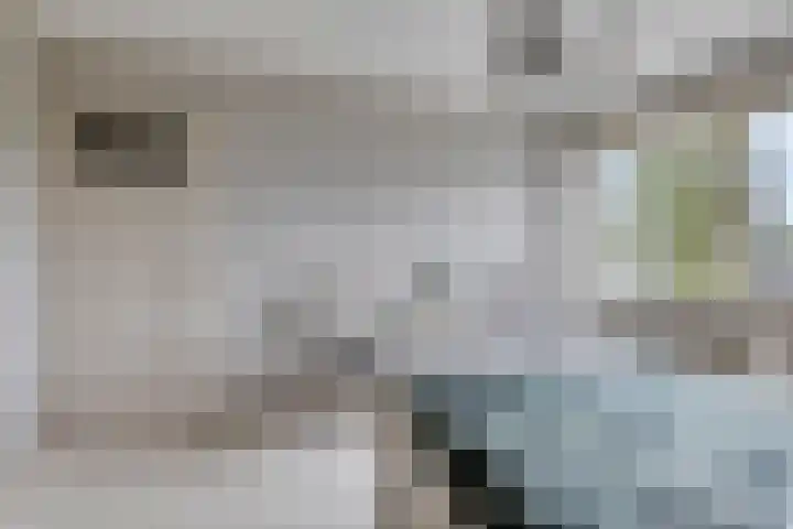 Dresselhuisstraat 8 Wolphaartsdijk thumbnail 23