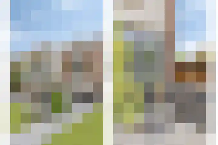 Dresselhuisstraat 8 Wolphaartsdijk thumbnail 34