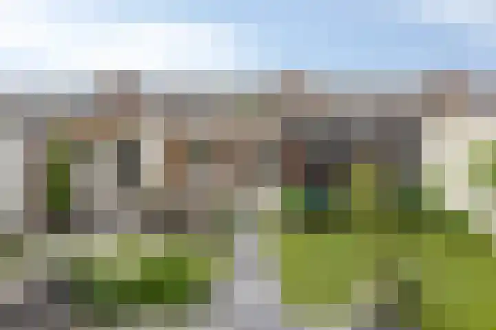 Dresselhuisstraat 8 Wolphaartsdijk thumbnail 4