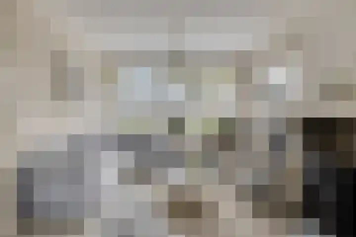 Dresselhuisstraat 8 Wolphaartsdijk thumbnail 9