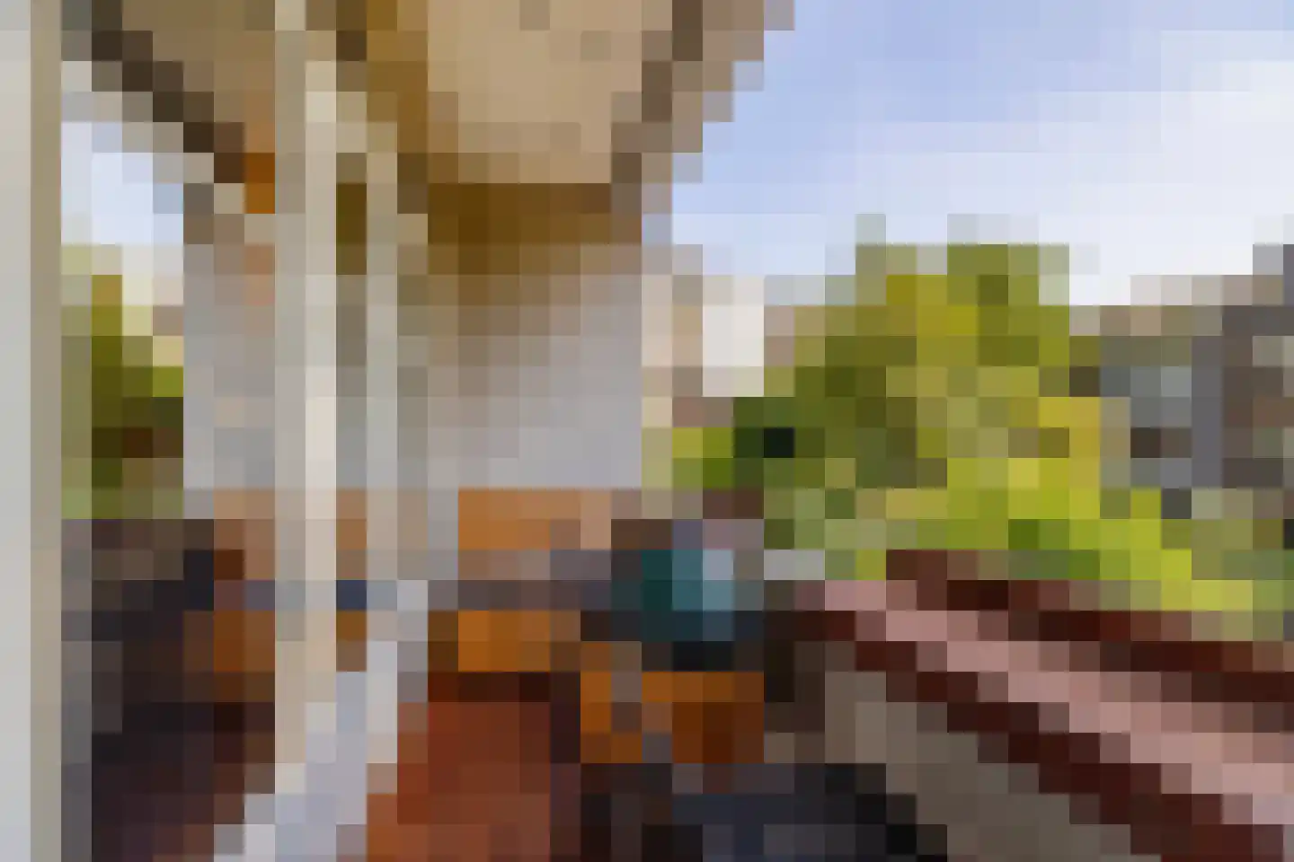Dresselhuysstraat 16 B 01 Rotterdam thumbnail 31