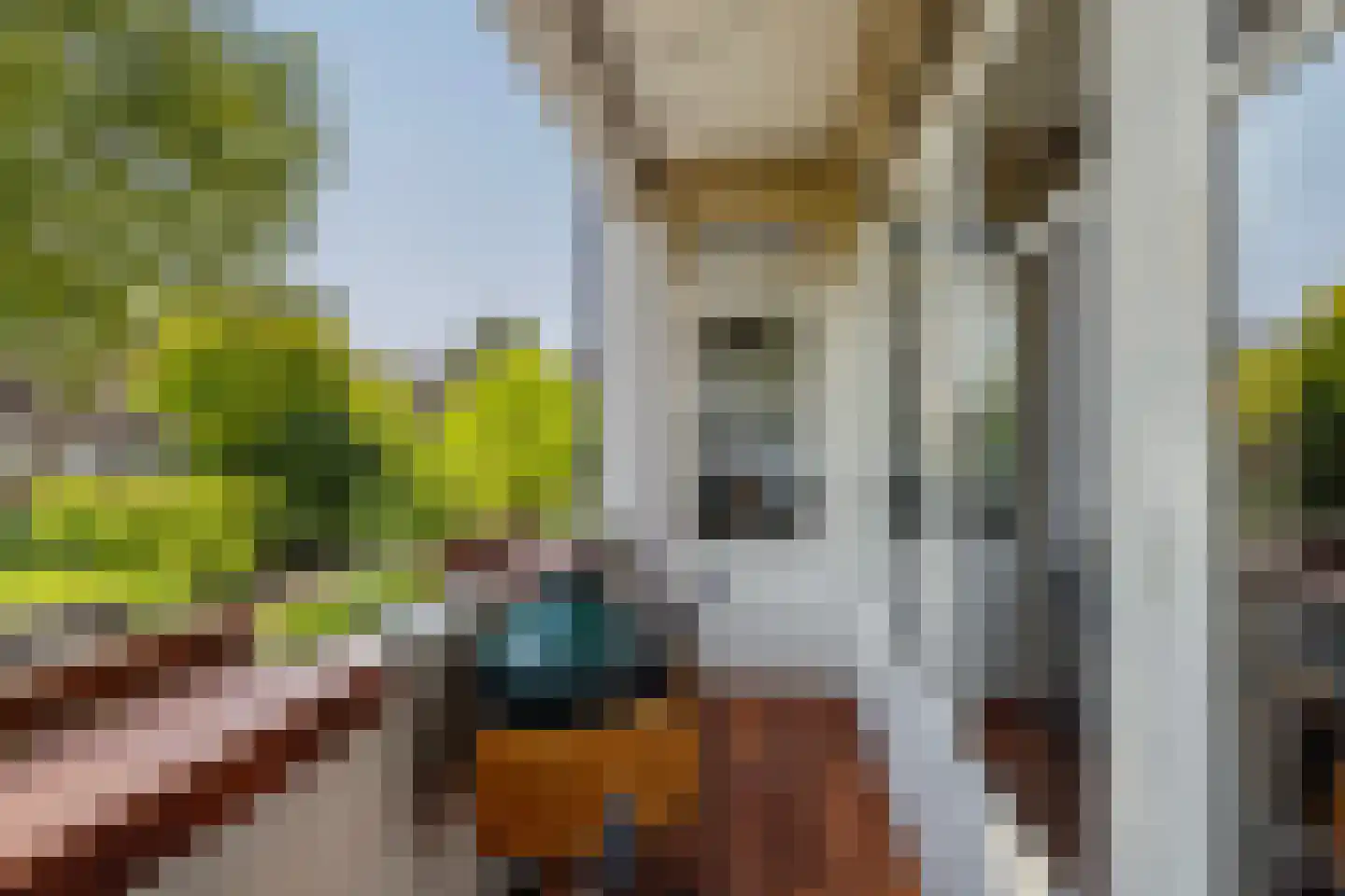 Dresselhuysstraat 16 B 01 Rotterdam thumbnail 32