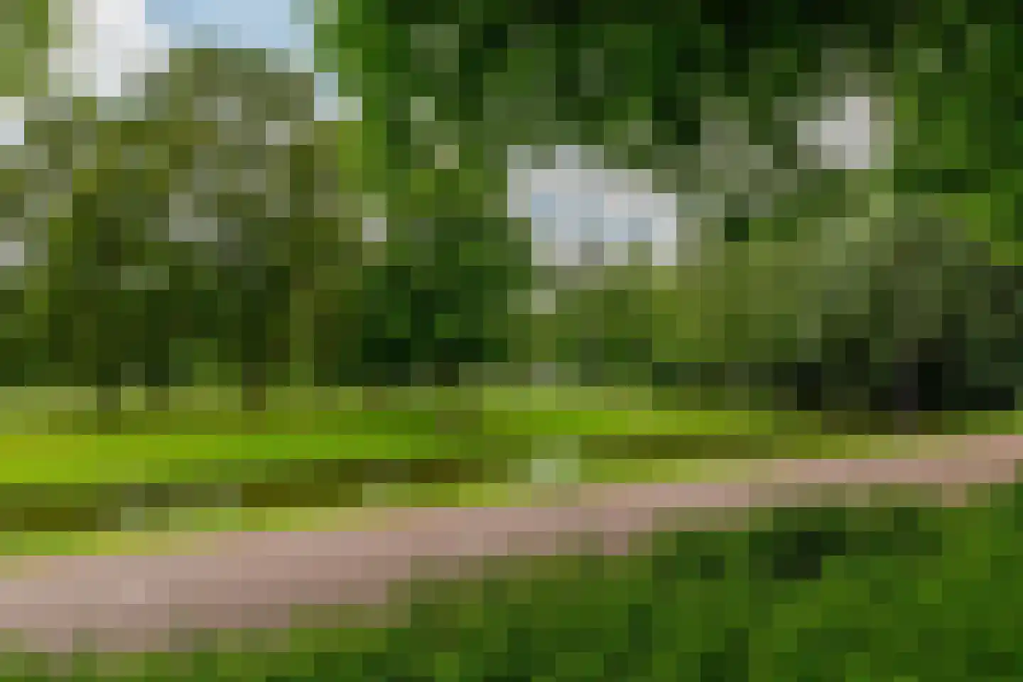 Dresselhuysstraat 16 B 01 Rotterdam thumbnail 47