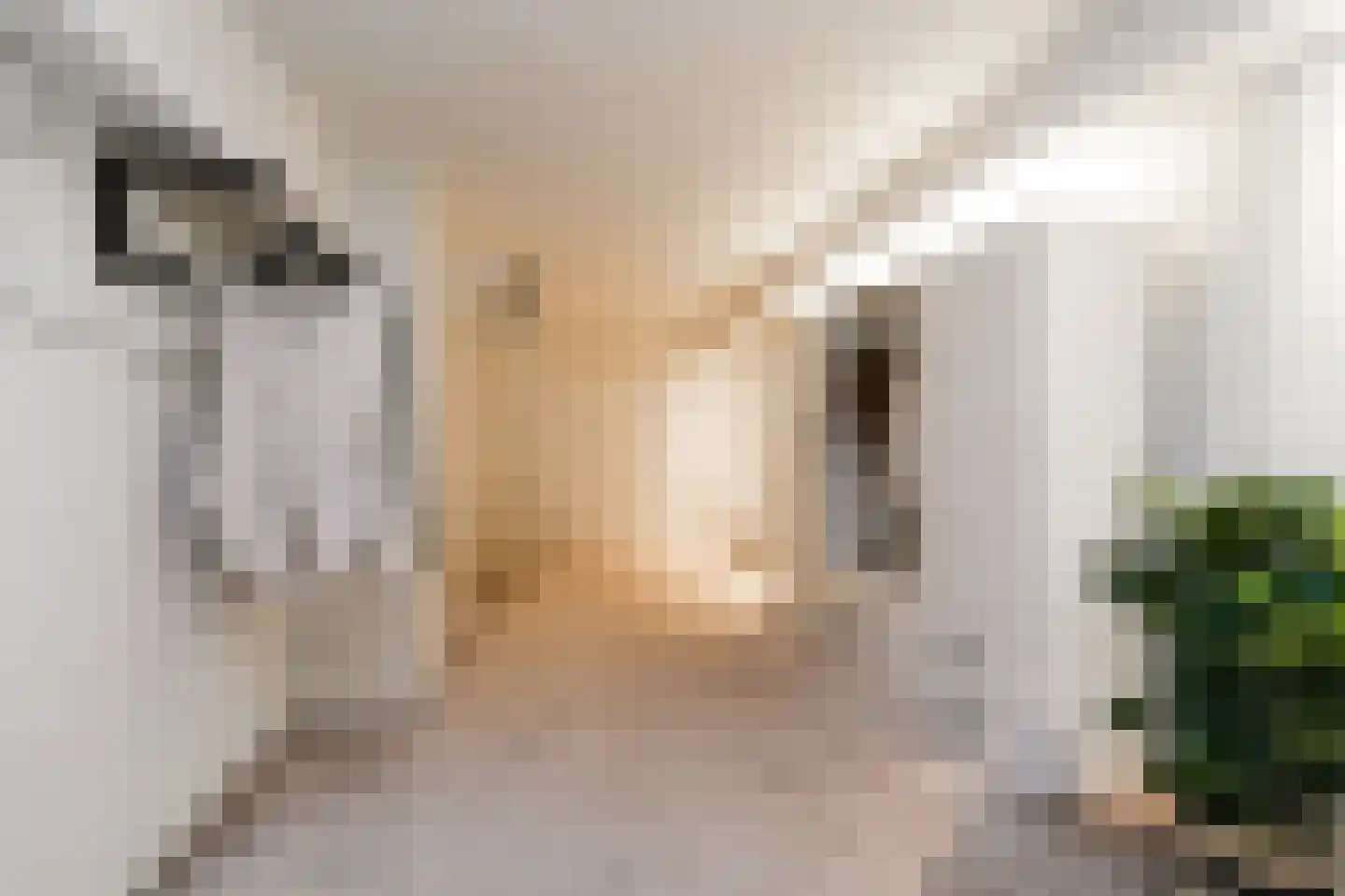 Dresselhuysstraat 20 B 02 Rotterdam thumbnail 18