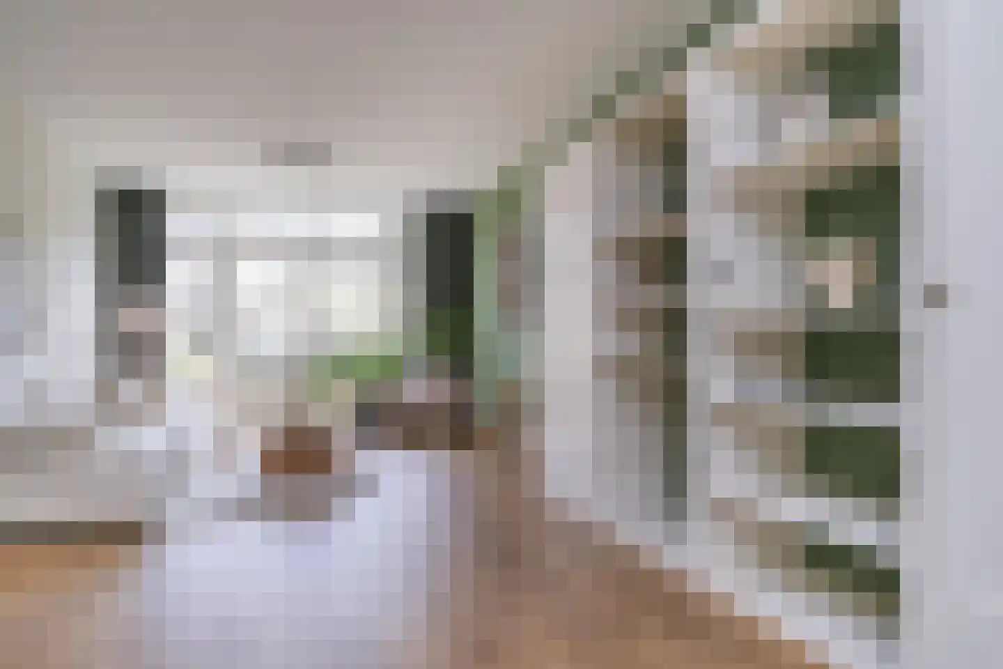 Dresselhuysstraat 20 B 02 Rotterdam thumbnail 8