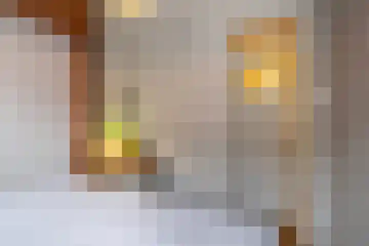 Dresselhuysstraat 30 B Rotterdam thumbnail 19