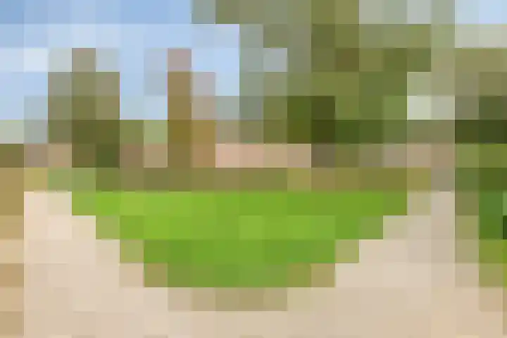 Drevel 32 Monnickendam thumbnail 30