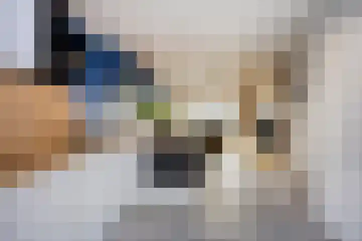 Drevel 37 Monnickendam thumbnail 4