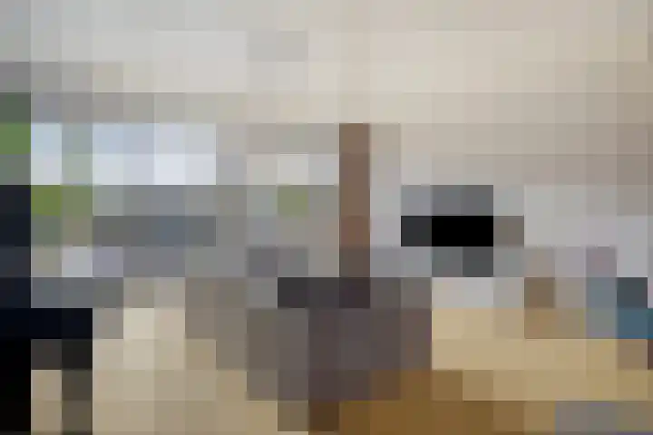 Drevel 37 Monnickendam thumbnail 9