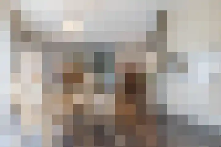 Drevelhof 14 Oosterhout thumbnail 10