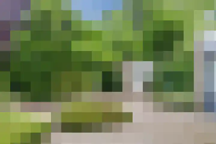 Drevelhof 14 Oosterhout thumbnail 38