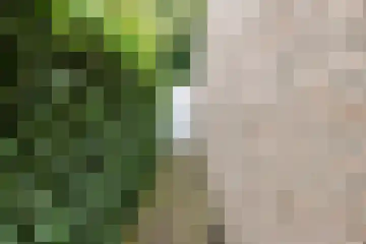 Drevelhof 14 Oosterhout thumbnail 44