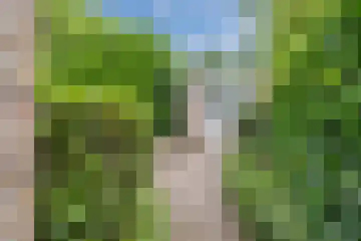 Drevelhof 14 Oosterhout thumbnail 45
