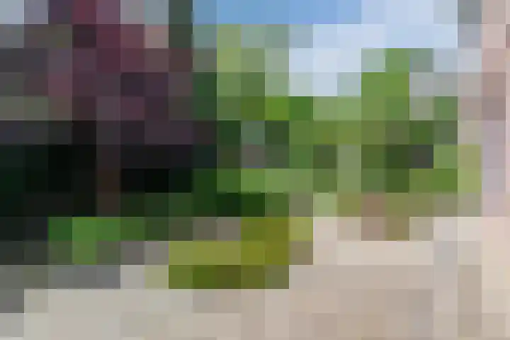 Drevelhof 14 Oosterhout thumbnail 49