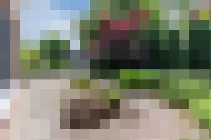Drevelhof 14 Oosterhout thumbnail 50