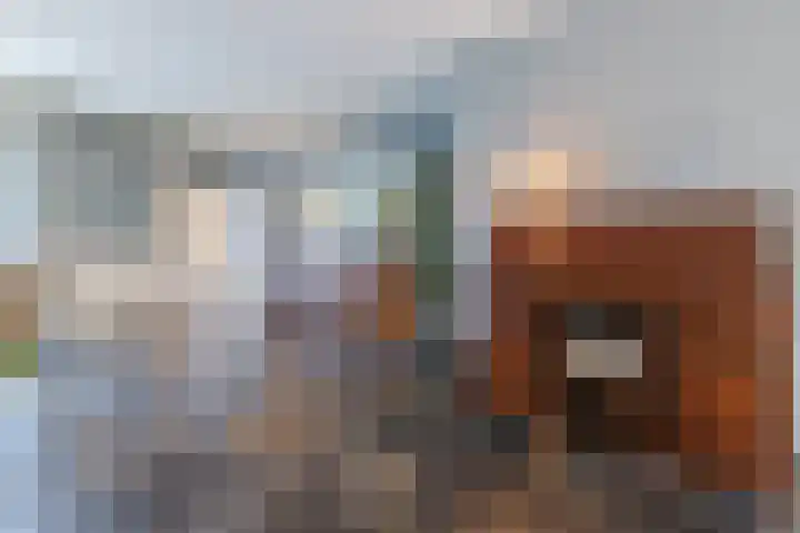 Drevelhof 14 Oosterhout thumbnail 6