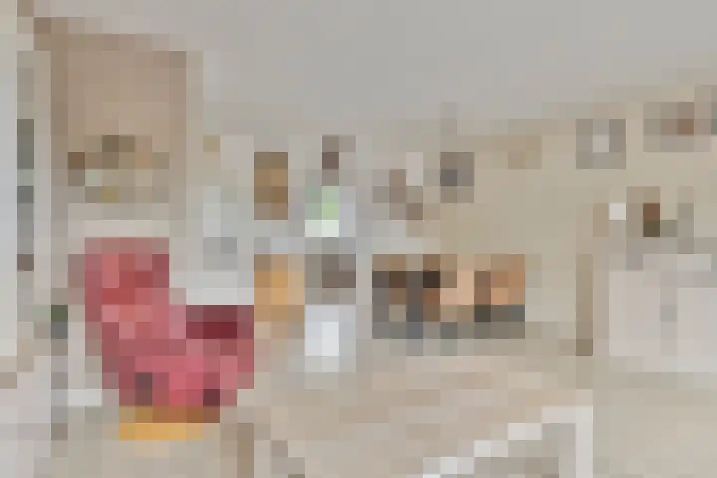 Drevelstraat 5 Alkmaar thumbnail 6