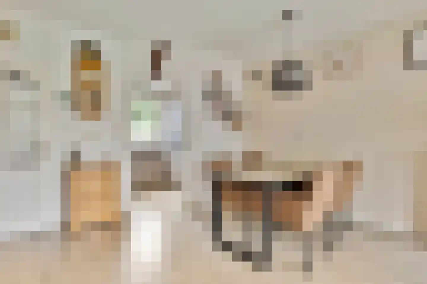 Drevelstraat 5 Alkmaar thumbnail 7