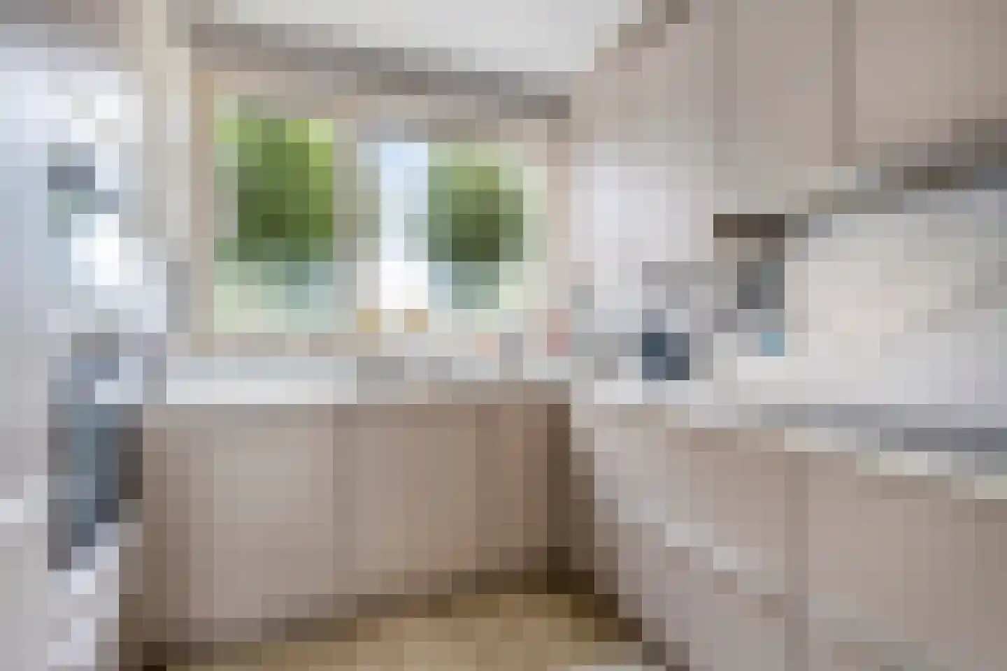 Drevelstraat 5 Alkmaar thumbnail 8