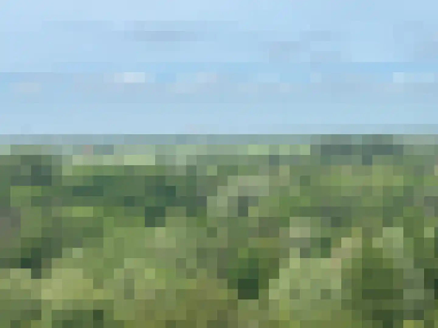 Drevenpark 105 Vlaardingen thumbnail 22