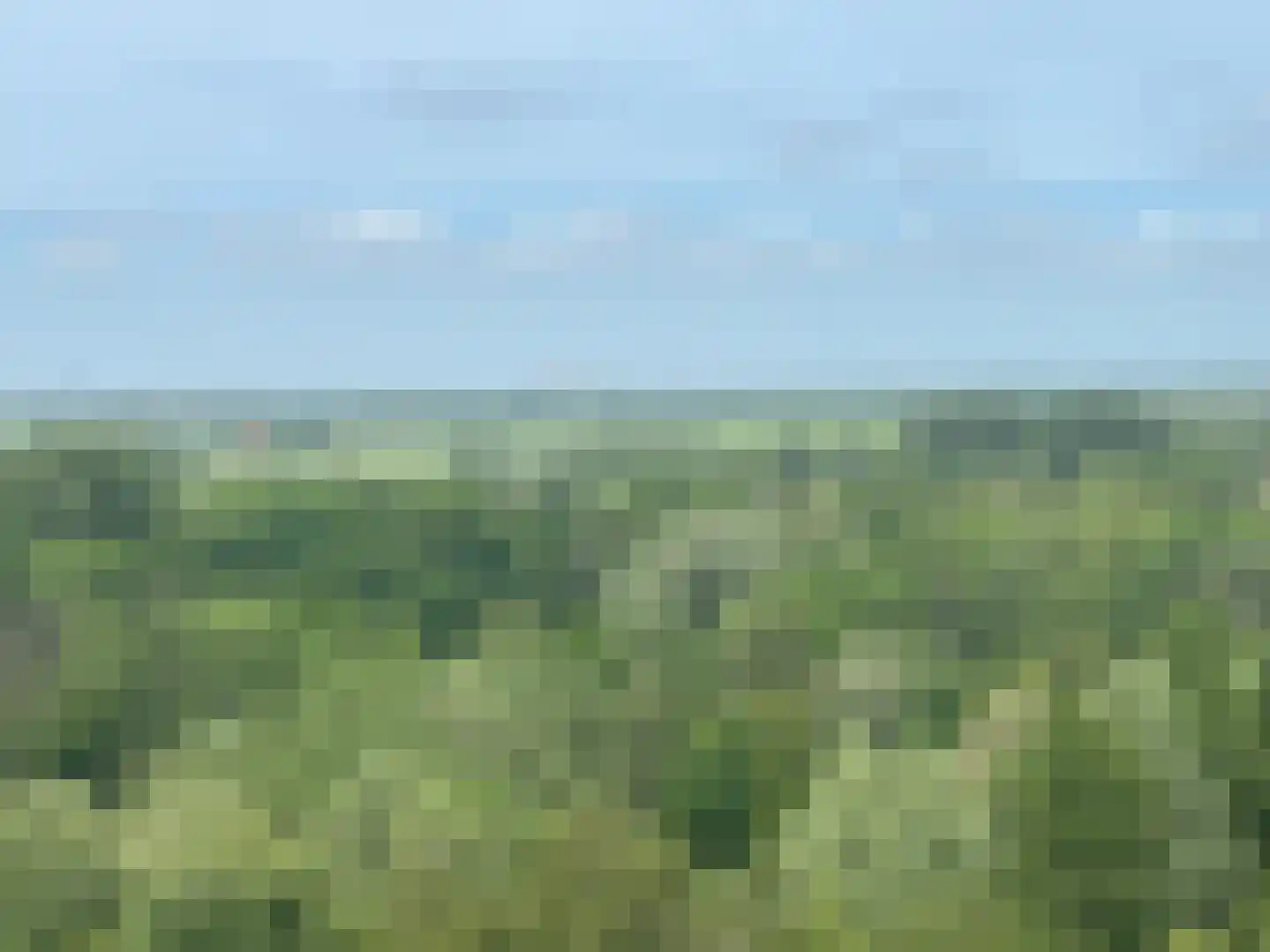 Drevenpark 105 Vlaardingen thumbnail 22