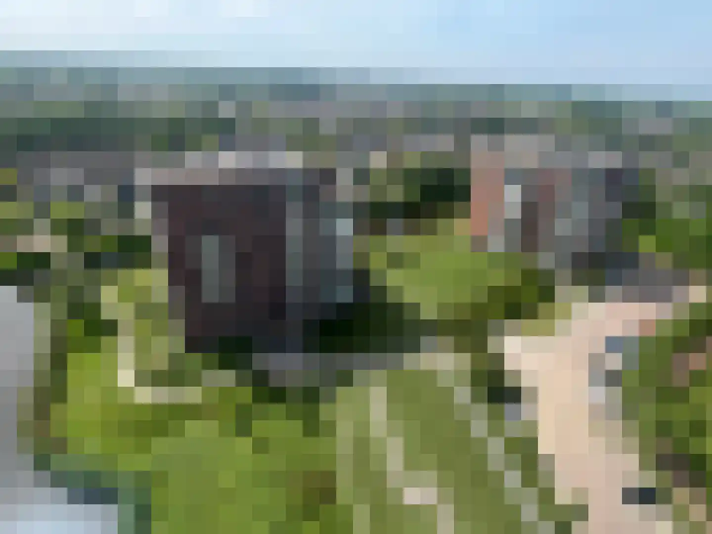Drevenpark 105 Vlaardingen thumbnail 33