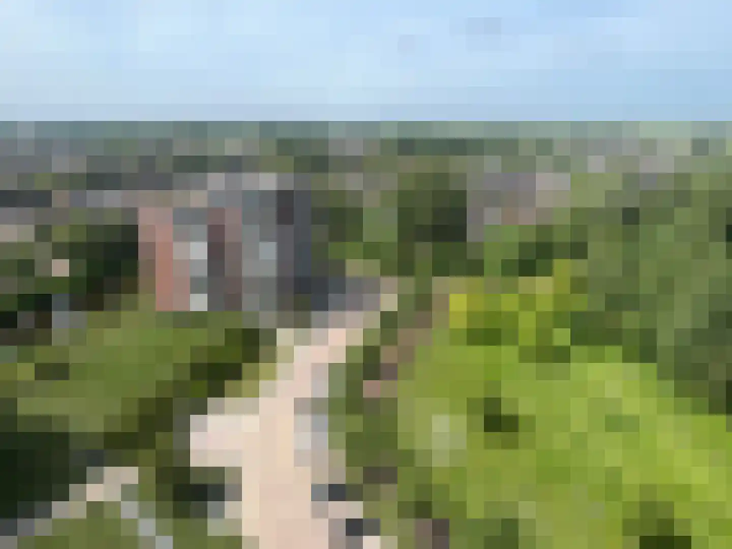 Drevenpark 105 Vlaardingen thumbnail 6
