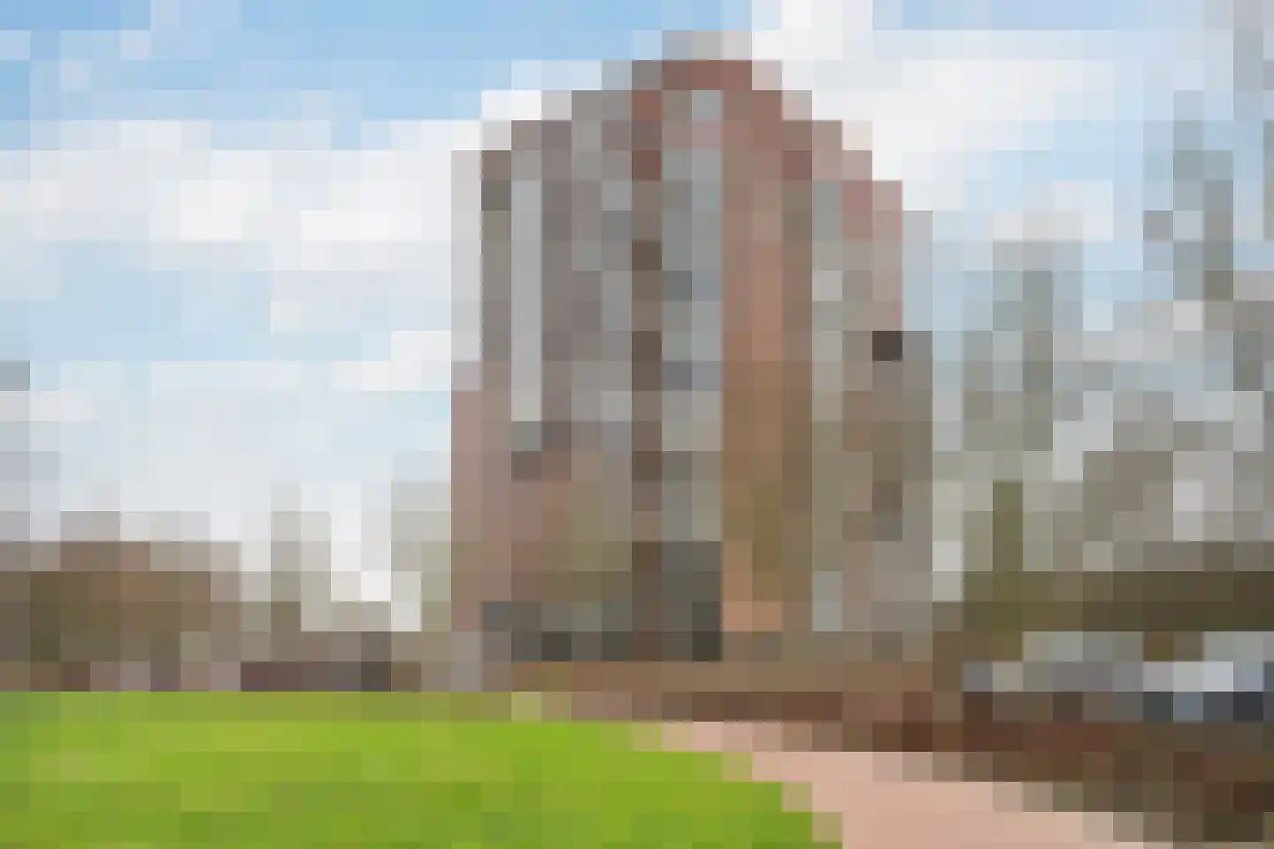 Drevenpark 105 Vlaardingen thumbnail 9