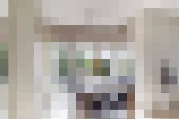 Drevenpark 143 Vlaardingen thumbnail 19