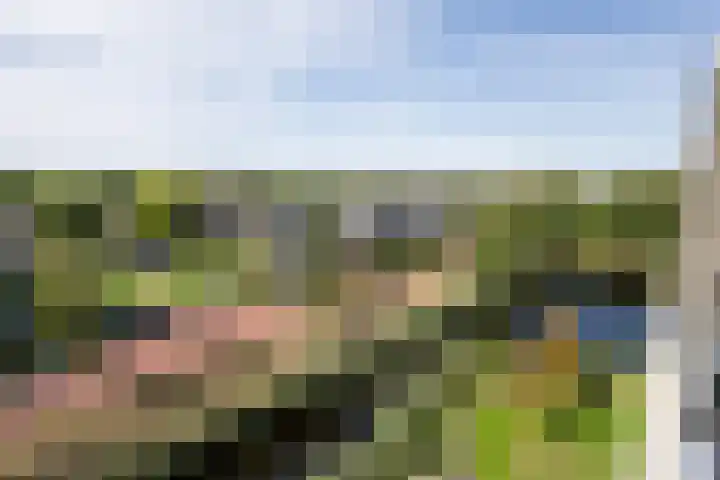 Drevenpark 143 Vlaardingen thumbnail 35