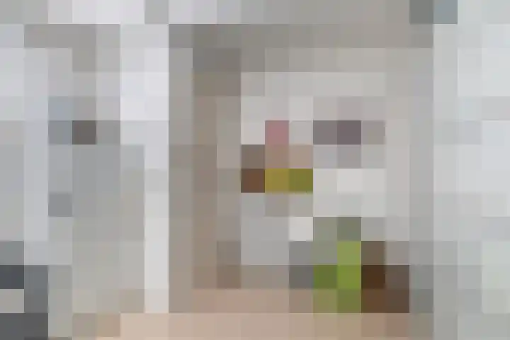 Drevenpark 143 Vlaardingen thumbnail 37