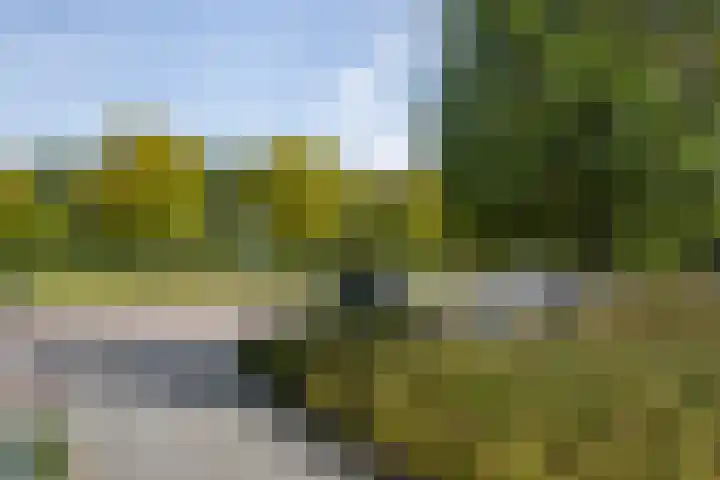 Drevenpark 143 Vlaardingen thumbnail 39