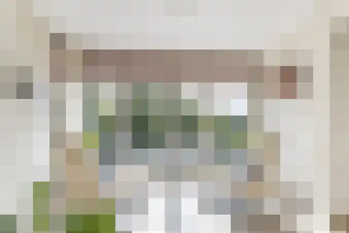 Drevenpark 143 Vlaardingen thumbnail 4