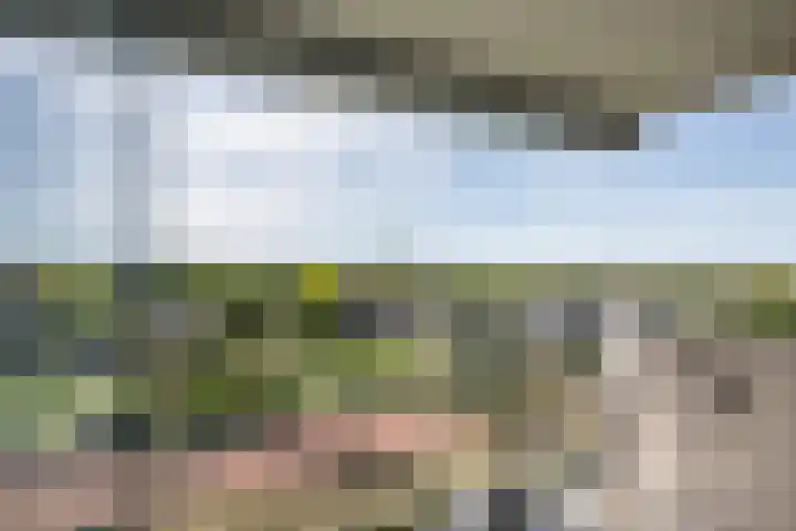 Drevenpark 143 Vlaardingen thumbnail 5
