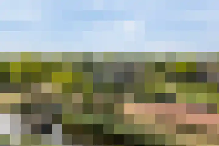 Drevenpark 143 Vlaardingen thumbnail 6