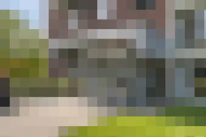Drevenpark 143 Vlaardingen thumbnail 8