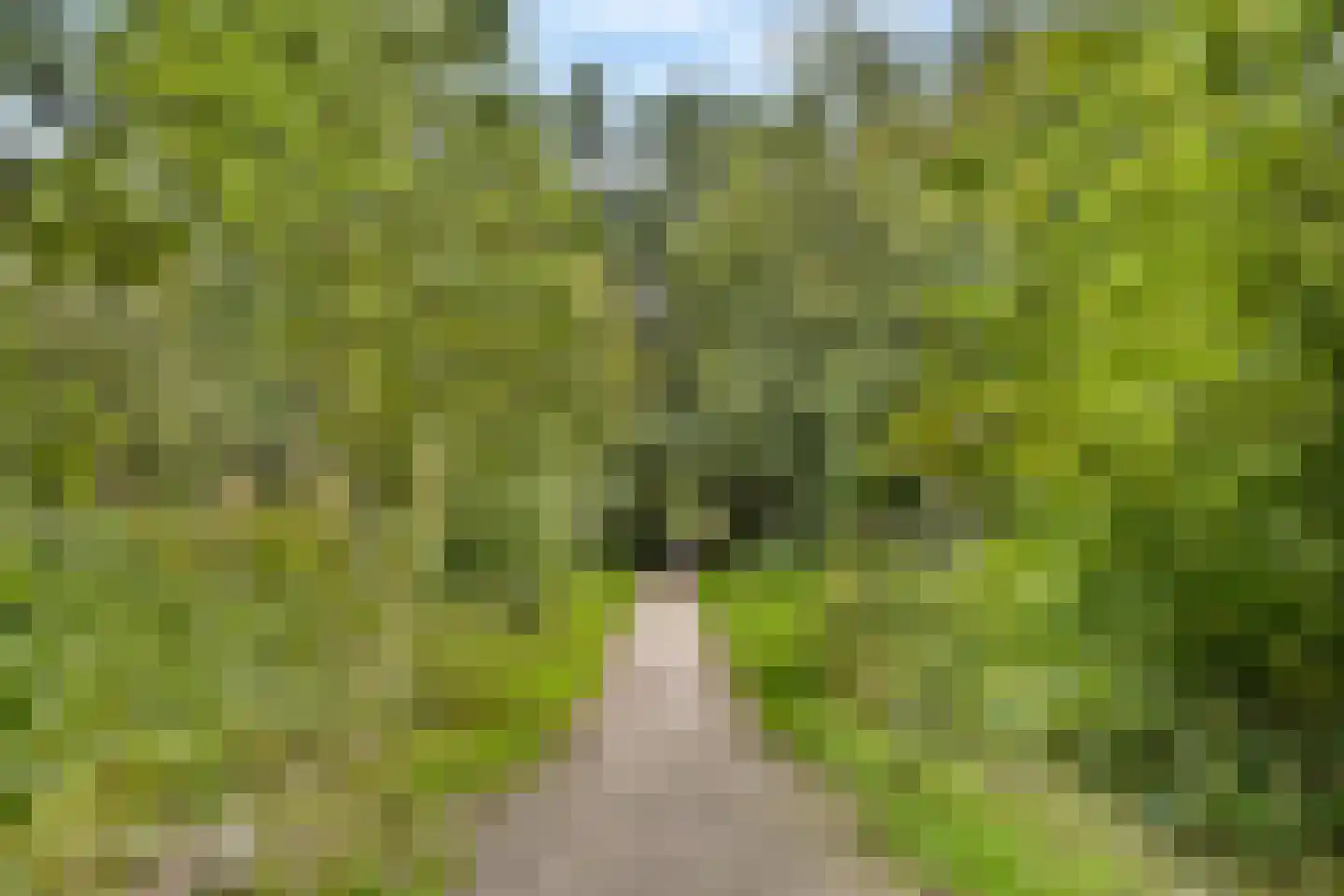 Drevenpark 183 Vlaardingen thumbnail 27
