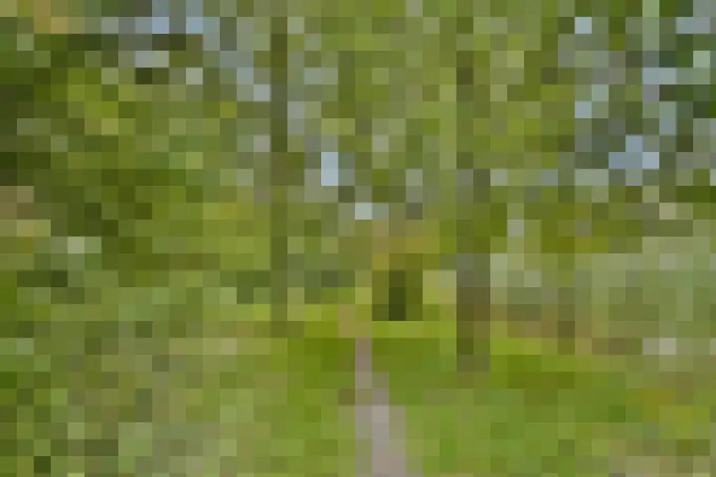 Drevenpark 183 Vlaardingen thumbnail 29