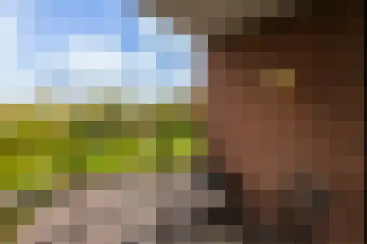 Drevenpark 189 Vlaardingen thumbnail 13
