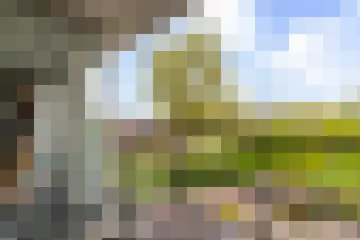 Drevenpark 189 Vlaardingen thumbnail 14