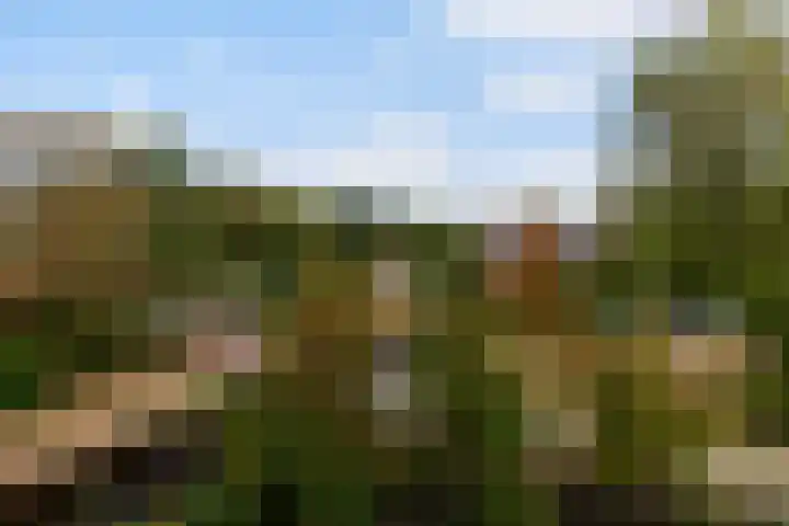 Drevenpark 189 Vlaardingen thumbnail 15