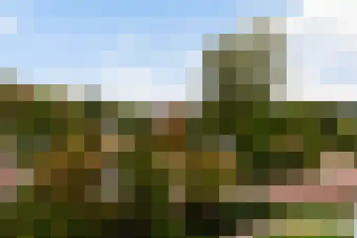 Drevenpark 189 Vlaardingen thumbnail 16