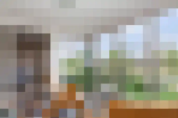 Drevenpark 189 Vlaardingen thumbnail 23