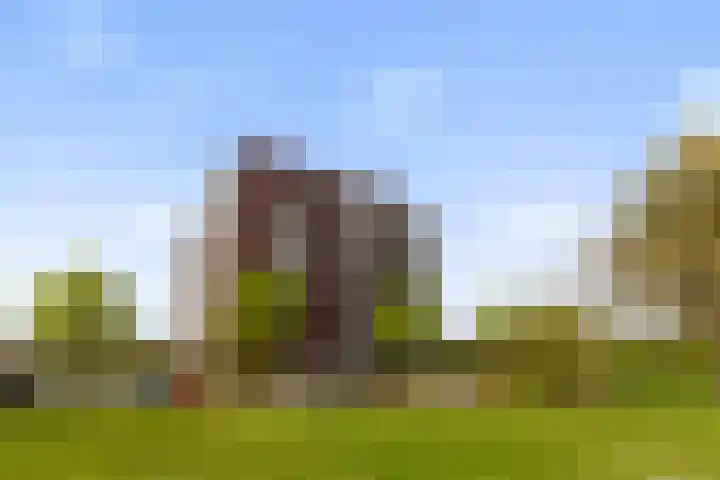 Drevenpark 189 Vlaardingen thumbnail 38
