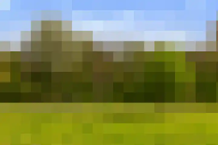Drevenpark 189 Vlaardingen thumbnail 39