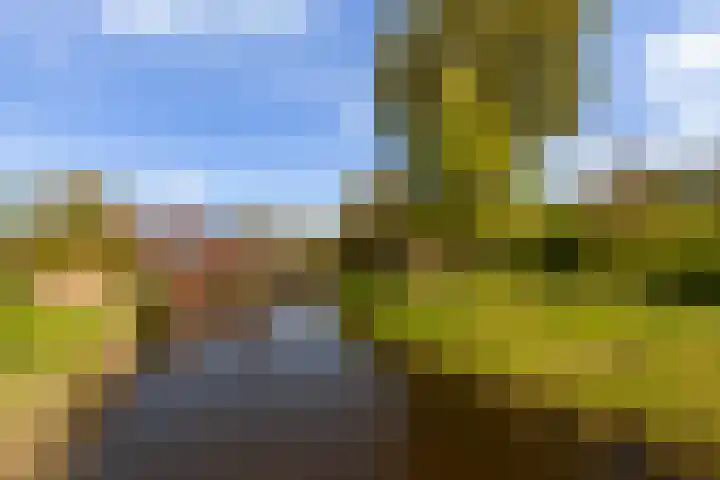 Drevenpark 189 Vlaardingen thumbnail 40